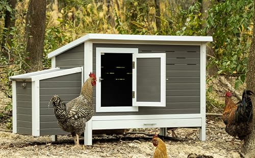 New Age Pet ECOFLEX Fontana Premier Chicken Barn, Weather Resistant Gray Coop with Easy Clean Pull Out Tray, Nesting Box, Hinged Roof, Easy No Tool Assembly for 2 to 4 Chickens