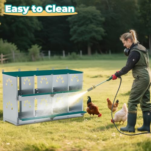 Yafylly Chicken Nesting Boxes, Wall Mountable Metal Chicken Coop Nesting Box, Easy Egg Collection Roll Away Nesting Boxes Chicken, Roosting Boxes for Chickens, 8 Compartments - color: Green, size: 8 Compartment
