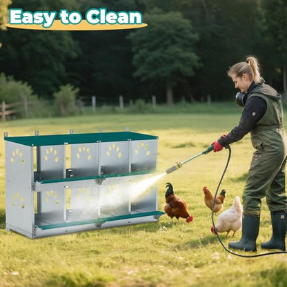 Yafylly Chicken Nesting Boxes, Wall Mountable Metal Chicken Coop Nesting Box, Easy Egg Collection Roll Away Nesting Boxes Chicken, Roosting Boxes for Chickens, 8 Compartments - color: Green, size: 8 Compartment