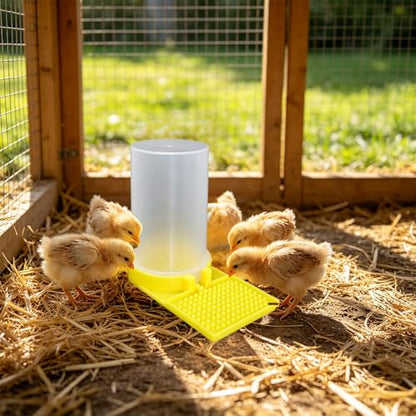Baby Chick Feeder and Waterer Set, Poultry Starter Kit, Chick Feeder & Gravity Waterer, Compact Brooder Supplies for Chicks, Ducklings and Small Poultry (B) - color: b