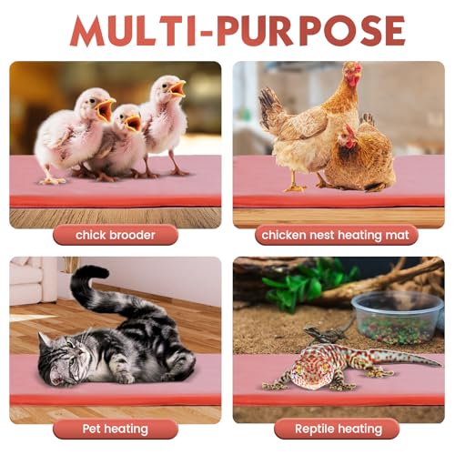 Large Chicken Heating Pad Chick Brooder Small Animal Pet Heating Pad Waterproof Heated Pet Mat Adjustable Temperature & Timer, Chicken Heater (15.7 x 23.6in) - size: 15.7 x 23.6in