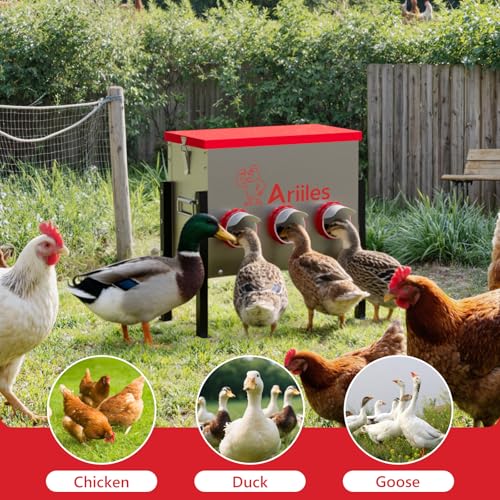 Automatic Chicken Feeder Box, 40lb Capacity, 6 No-Waste Ports, Metal Poultry Feeder with Covered Lid & Elevated Stand, Feed Dispenser for Chickens, Ducks & Backyard - size: 40 LB