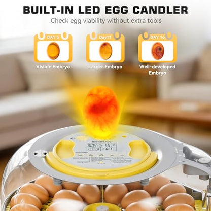 IBKINXX 26 Egg Incubator for Hatching Eggs with Smart Voice Guidance, 360° View with Automatic Temperature & Humidity Control, Auto Egg Turning & Built-in Egg Candler for Chicken, Duck, Goose & Quail