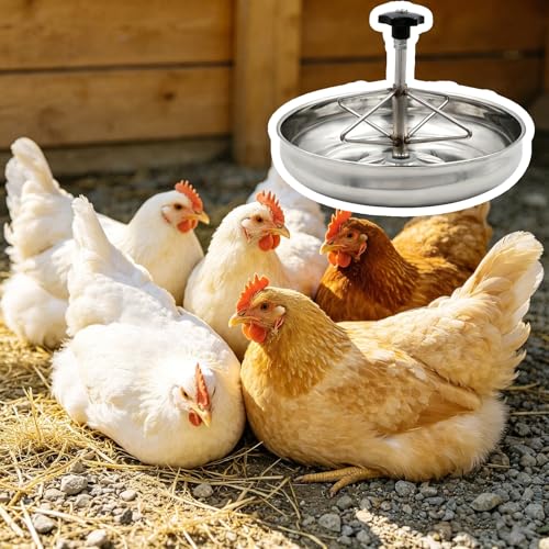 Round Stainless Steel Chick Feeder, Small Multi-Compartment Pig Feeder, Outdoor/Indoor Metal Water Trough for Barn, Pasture, Homestead(25 cm/9.8") - size: 25 cm/9.8"