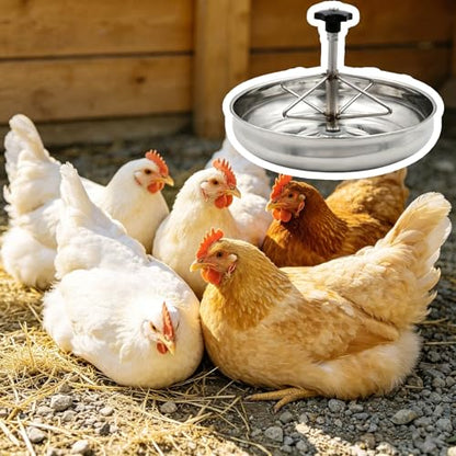 Round Stainless Steel Chick Feeder, Small Multi-Compartment Pig Feeder, Outdoor/Indoor Metal Water Trough for Barn, Pasture, Homestead(25 cm/9.8") - size: 25 cm/9.8"