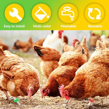 16mm Numbered Poultry Leg Bands – Colorful Chicken Leg Rings for Ducks, Geese, Turkeys, Game Birds – Bird Identification Bands for Poultry Breeding & Flock Management