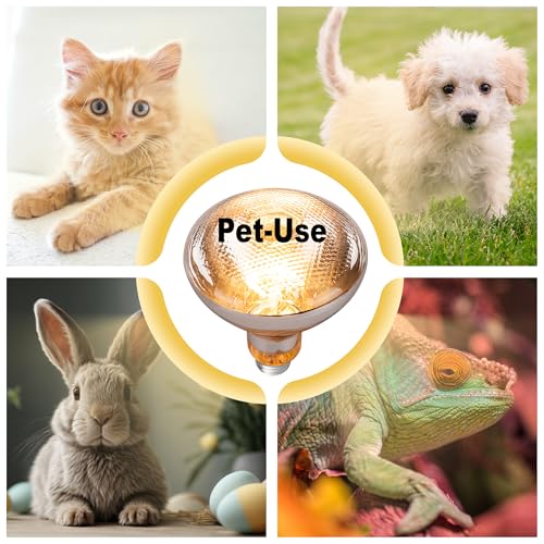 250 Watt Heat Lamp Bulbs for Chickens, PAR38 Clear Glass Brooder Heat Lamp, Infrared Reflector Heat Bulbs for Pets, Bathroom, Food, Light Therapy 2 Pack