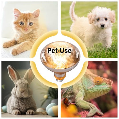 250 Watt Heat Lamp Bulbs for Chickens, PAR38 Clear Glass Brooder Heat Lamp, Infrared Reflector Heat Bulbs for Pets, Bathroom, Food, Light Therapy 2 Pack