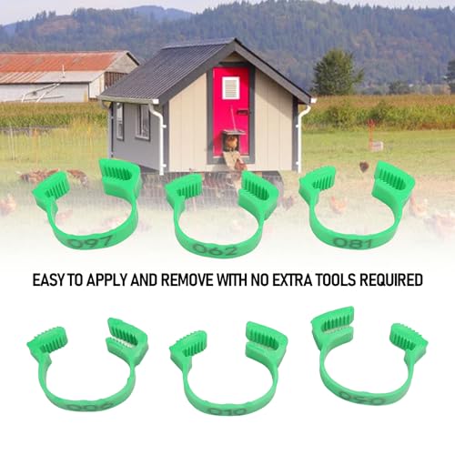 100PCS 20mm Chicken Leg Bands, 001 to 100 Numbered Colorful Chicken Birds Poultry Identification Leg Bands for Chicks Ducks Pigeons Goose Quail Yellow (Green) - color: Green