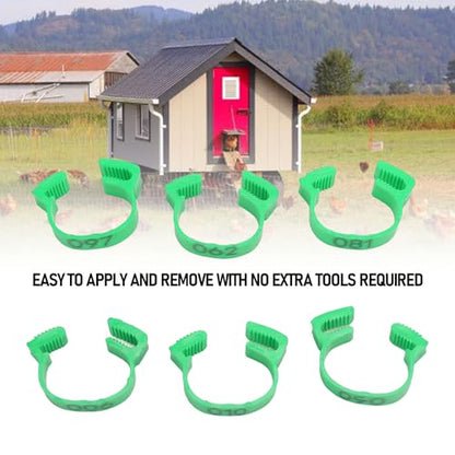 100PCS 20mm Chicken Leg Bands, 001 to 100 Numbered Colorful Chicken Birds Poultry Identification Leg Bands for Chicks Ducks Pigeons Goose Quail Yellow (Green) - color: Green