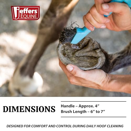 Jeffers Equine Hoof Pick & Brush, Black – Horse Hoof Cleaning Tool for Grooming, Farrier, Equestrian Care – Durable Hoof Pick with Stiff Bristles – 4 inch Easy Grip Handle - color: Black