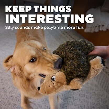 Outward Hound Hedgehogz Stuffed Dog Toy – Soft Plush Hedgehog, Grunts & Squeaks, Large, 12" x 6" x 7" - size: Large (Pack of 1)