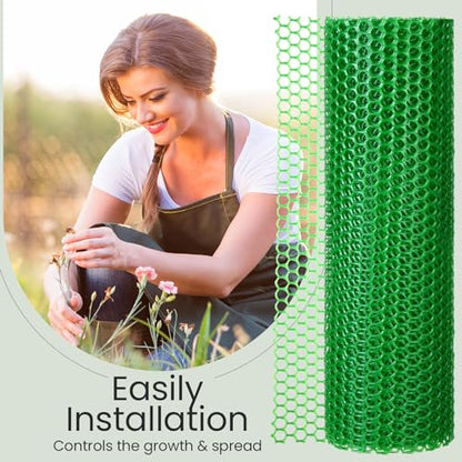 Landical 6 Rolls Plastic Chicken Wire Fencing Mesh 120 x 15.7 Inch Each Plastic Mesh Fence with Zip Ties Hexagonal Poultry Netting Garden Fencing Cat and Bird Netting (Green) - color: Green
