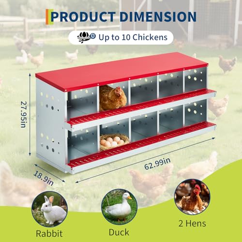 Chicken Nesting Boxes, 10 Compartment Metal Roll Away Nest Box with Vent Holes & Swing Perch, Easy Egg Collection for Hens & Ducks, Ideal for Poultry Coops