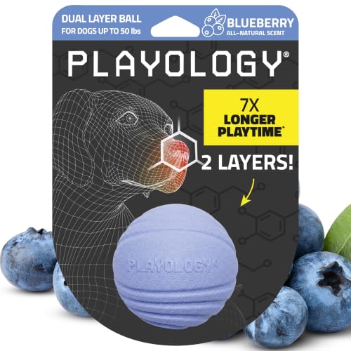 Playology Dog Toys | Dual Layer Ball Durable Chew Toy for Tough Chewers | Blueberry Scented Medium Dog Toy | Chew Toys for Dogs - size: Medium, style: Blueberry