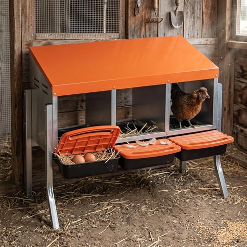 Metal Chicken Nesting Box - Heavy Duty Roll Away Nesting Boxes for Chickens Coop with Easy-Collect Tray & Lid, 3 Hole Galvanized Steel Egg Laying Boxes for Hens Ducks, Wall Mount or Freestanding - color: Orange, size: 3 Holes with legs