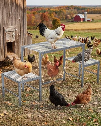 Magicfly Chicken Perch Swing in Coop, Metal Chicken Roosting Bar for Pet Chickens' Health and Happiness, Large Capacity for 10-12 Chickens, Chicken Toys Accessories for Backyard Farms, Grey