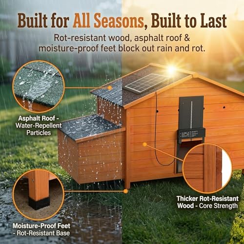 Wooden Chicken Coop with Solar Automatic Door, Predator-Proof Outdoor Hen House with 2 Nesting Boxes & Deep Pull-Out Tray, All-Weather Poultry Cage for Backyard ([2-4] Chickens)