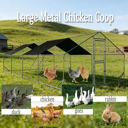 XCL Large Metal Chicken Coop, 26×10×6.5FT Walk-in Chicken Run, Spire Roof Poultry Cage with Waterproof Anti-UV Cover, Roosting Perch Outdoor Backyard Farm Enclosure for Duck Chicken (4-Unit Coop) - size: 4-Unit Coop