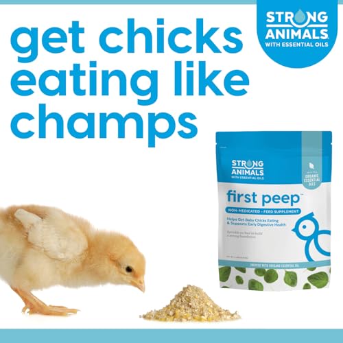 Strong Animals First Peep Chick Feed Supplement, Non-Medicated with Organic Oregano Oil, Kelp & Prebiotics, Helps Baby Chicks Start Eating Sooner & Supports Early Digestive Health, 2 lb Pouch
