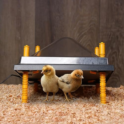 Rural365 Chick Heating Plate and Brooder Plate Cover - 10 Inch Brooder Heat Plate for Chicks with Adjustable Height