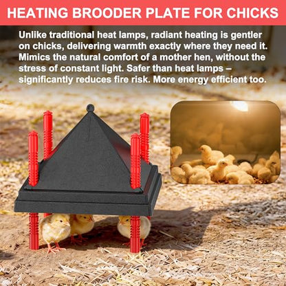 Chick Brooder Heating Plate with Anti Stand Cone, Adjustable Height Brooder Heater for Chicks, Downward Heat Distribution for Outdoor Barns & Coops (10" x 10" Black) - size: 10" x 10"