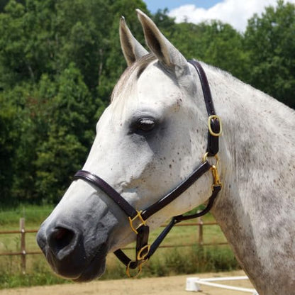 Country Pride Quiet Creek Double Stitched Refined Premium Leather Halter - color: Brown, size: Horse