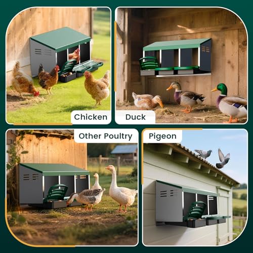 Nesting Boxes for Chickens, Roll Away Nesting Box for Laying Hens, Metal Rollout Chicken Nest Box with Egg Collection Drawer & Protective Lid, Wall Mount Chicken Coop Nest Box, 3 Compartments - color: Green