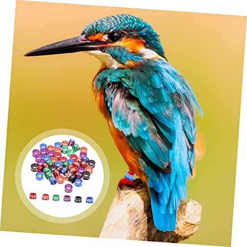 Sosoport 50pcs Closed Anklet Poultry Leg Bands Bird Birds Foot Rings Number Foot Ring for Homing Pigeon Chicken