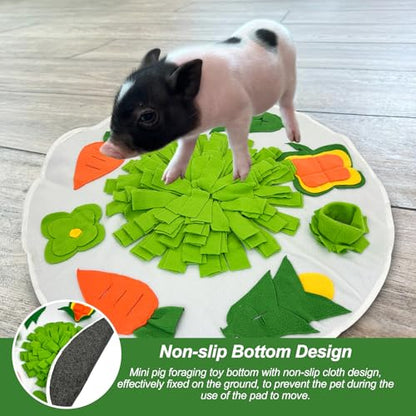 Snuffle Mat for Mini Pig,Pig Toys for Mini Pigs,Mini Pig Supplies,Pet Treats Feeding Mat,Puzzle Toys Encourages Natural Foraging Skills,23 X 23 Inches(White and Green)