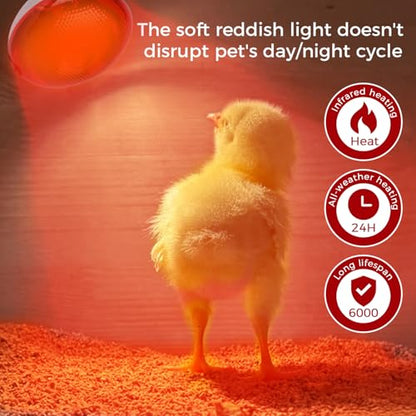 Infrared Heat Lamp for Chickens, 250 Watts Red Heat Lamp Bulb, Heat Light Bulb for Brooder Coop, Food Service, Chicks, Pet, Reptile, 1 Pack - size: 1 Count (Pack of 1)