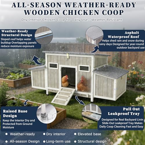 Gowoodhut Outdoor Chicken Coop Wooden Hen House Hens Coop for Backyard Poultry Tractor for 2-4 Chickens with Weatherproof Asphalt Roof, 4 Nesting Box, 2 Roosting Bar, Pull-Out Tray (Coop84 NoRun) - size: 62.2"L x 22.8"W x 28.5"H