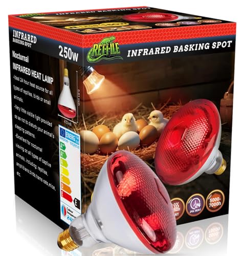 Infrared Heat Lamp for Chickens, 250 Watts Red Heat Lamp Bulb, Heat Light Bulb for Brooder Coop, Food Service, Chicks, Pet, Reptile, 1 Pack - size: 1 Count (Pack of 1)