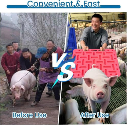 Portable Pig Sorting Board Lightweight Non-Slip Grip Ideal for Swine Show or Vet Care Double Grip Panel 120x78cm 97x76cm 77x47cm Options Available
