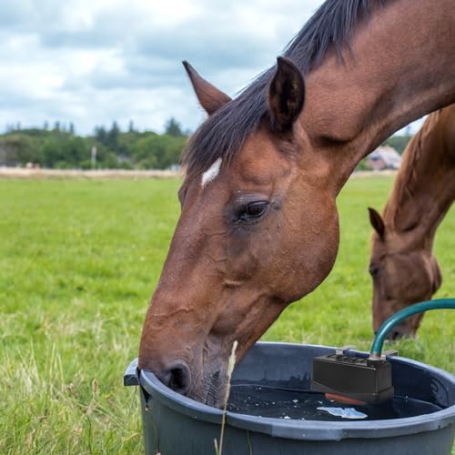 Water Trough Float Valve for Stock Tank,Water Tank Float Valve Level Control for Pond Farm Livestock Cattle Goat Horse Swimming Pool, Autofill Livestock Waterer - style: Stock Tank Float Valve-1PCS