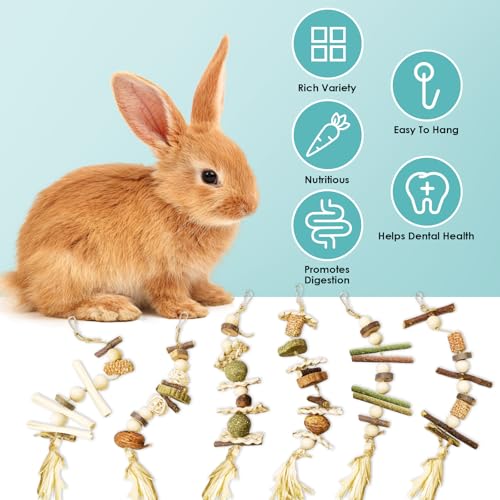 6PCS Bunny Chew Toys, Hamster Rabbit Cage Hanging Chew Toys, Natural Apple Wood Bunnies Treats, Improve Small Animal Teeth Health for Guinea Pig Chinchilla Ferret Rats Gerbil