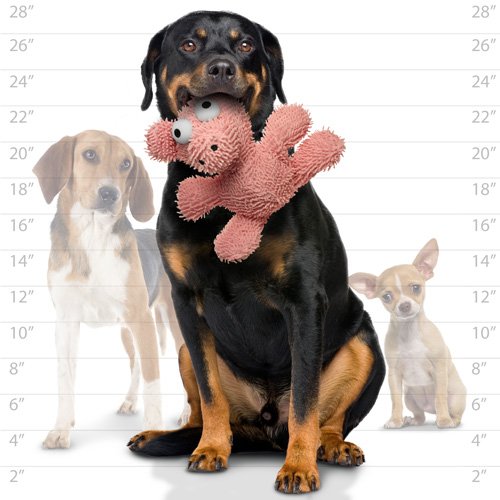 MIGHTY- Microfiber Ball Pig – Made with Squeaker Balls and Minimal Stuffing. Strong & Tough. Interactive Play Dog Toy. Machine Washable & It Floats | Multiple Layers & Reinforced Seams , Washable and Floats , Mighty® Construction - color: Pink Pig