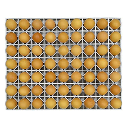 Hatching Time Egg Setter Tray (80 Chicken Eggs), Good Fit, Durable, Washable, Easy to Clean, Cimuka, Fits Incubators, ABS Plastic - style: 80 Egg Setter Tray - Chicken