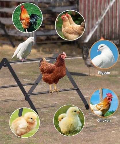 Chicken Roosting Perch, Adjustable Chicken Perch for Coop, Training Chicken Roosting Perches with Metal Stand, Chicken Toys Suitable for Chick, Hens and Parrots, Black