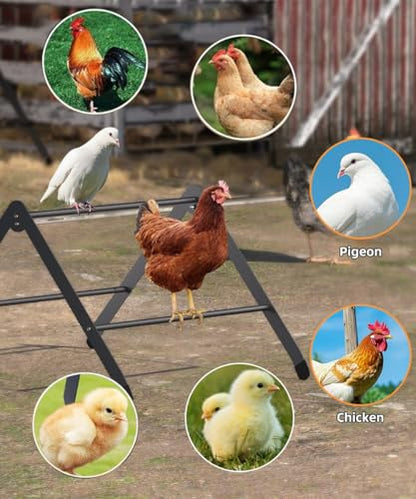 Chicken Roosting Perch, Adjustable Chicken Perch for Coop, Training Chicken Roosting Perches with Metal Stand, Chicken Toys Suitable for Chick, Hens and Parrots, Black