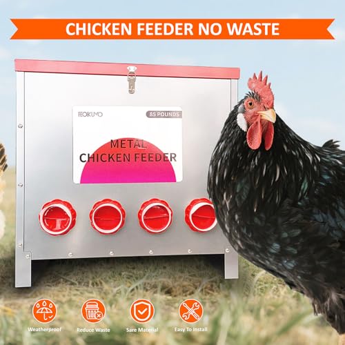 85 lb Automatic Poultry Feeder, 10-Port Feed Box for Chickens | Metal build, Locking lid, Weatherproof design, Rodent-resistant storage, Ducks, Geese, Turkeys, Backyard coop, Farm use