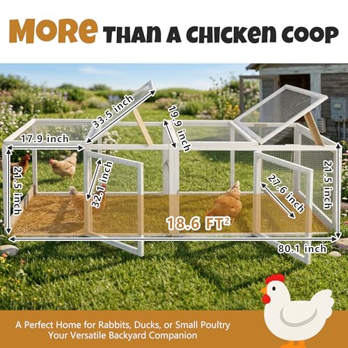 Expandable Chicken Run with Roosting Bars & Swing – Metal Wire Enrichment Poultry Enclosure, Secure Lockable Door, Connectable Design for Coop Expansion – Backyard Habitat for Chickens, Ducks, Rabbits - style: 80.1"L x 27.6"W x 21.5"H