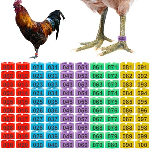 100Pcs 16mm Chicken Leg Bands, Poultry Identification Tags for Chickens, Ducks, Guineafowl, Goose, No Tools Required