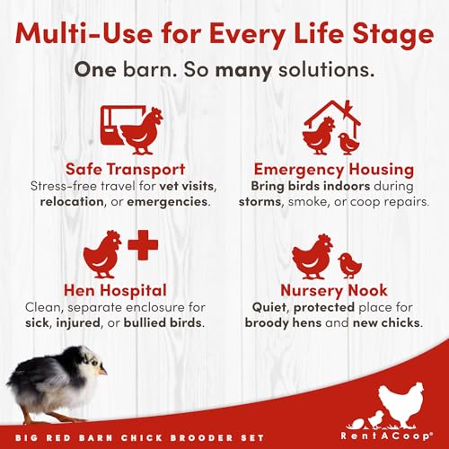 RentACoop Big Red Barn Chick Brooder Set with Heating Plate and Anti-Roost Cone, Two Chick Feeders, Two Chick Drinkers, Swing, Hatchling Liners, Jute Liner, LED Light, Security Latch