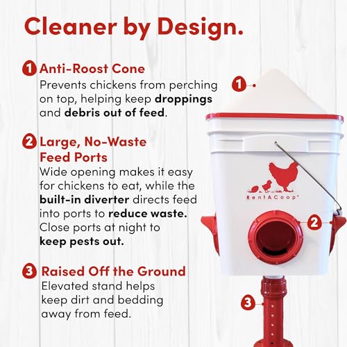 RentACoop 25lb BPA-Free Chicken Feeder with 4 Large Ports - Includes Lid, Anti-Roost Cone, Rain Hoods, and Custom Adjustable Stand - Large Capacity No-Waste Poultry Feeder - Center Placement