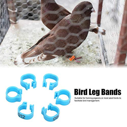 Gavigain 8mm Pigeon Leg Bands 0-100 Numbers Chicken Identification Leg Bands for Bantam Finch Dove Lovebird Coturnix Quail (Blue) - color: Blue