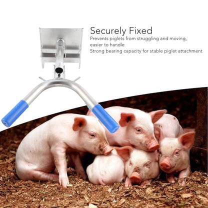 Piglet Castration Rack Stainless Steel Wall Mounted Pig Castration Tool Stable Fixing Holder for Livestock Farm Piglets