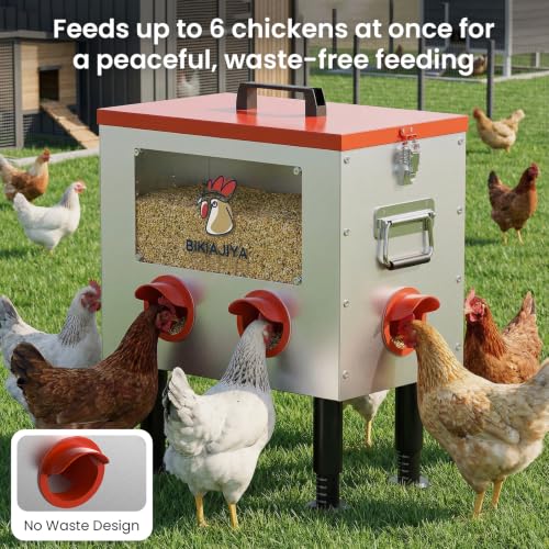 BIKIAJIYA Automatic Chicken Feeder, 55LB Large Capacity, Viewing Window Anti-Waste Rust-Proof Alloy Steel, 6 Feeding Ports, Waterproof & Rodent Proof, Adjustable Legs & Locking Lid for Chickens, Ducks