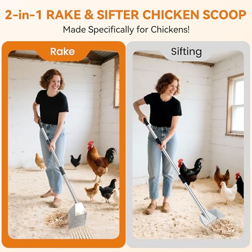 Chicken Poop Scooper: 2-in-1 Rake & Sifter - Silver Chicken Poop Shovel for Sand with Adjustable Stainless Steel Handle (35-59") for Small Spaces