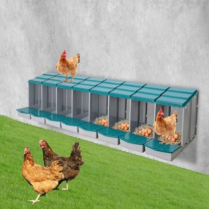 Chicken Nesting Boxes, 8 Compartment Nesting Boxes for Laying Eggs, Roll Away Nesting Box Egg Collection Tray, Wall Mount Poultry Roll Away Chicken Laying Boxes (Green) - color: 8 Compartment Nesting Boxes (Green)
